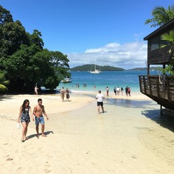 Под пальмой как выбрать место для отдыха на пляже