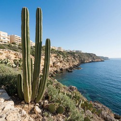 Солнце и море как источник полуденного покоя