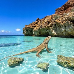 Город у моря как место встречи волн и улочек