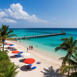 Свет и тени пляжа под пальмами