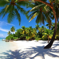 Отдых у моря и причины выбора берегового формата