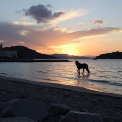 Колоссы Мемнона в Луксоре и их значение для путешественников Колоссы Мемнона в Луксоре и их значение для путешественников