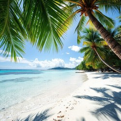 Полуденный отдых у побережья как провести время с комфортом