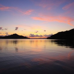 Освещение и прохлада берега среди тропических деревьев