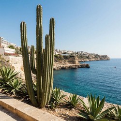 Предсказания на 2026 год падение Трампа и природные катастрофы